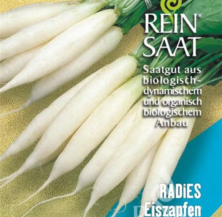 Radieschen Eiszapfen