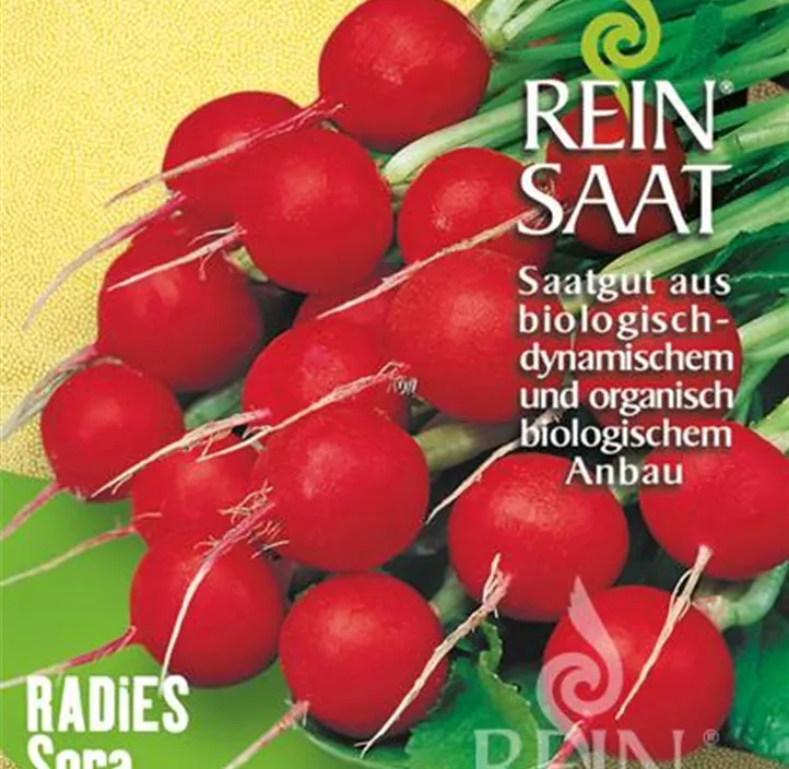 Radieschen Sora
