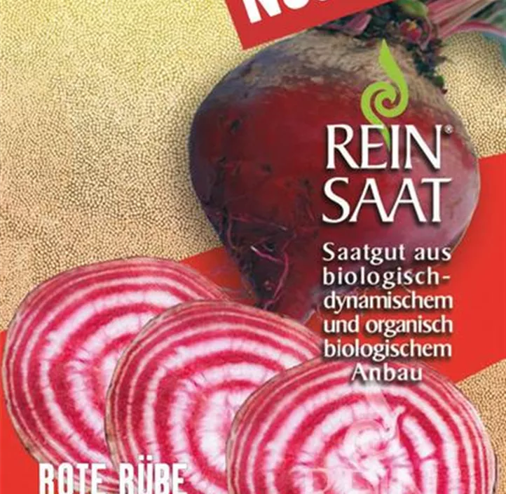 Rote Rübe Tonda di Chioggia