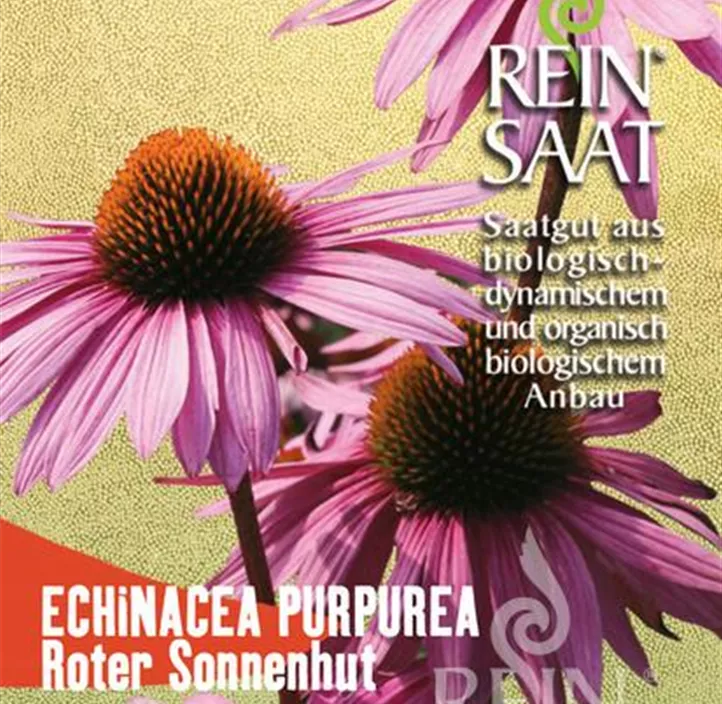 Roter Sonnenhut Roter Sonnenhut