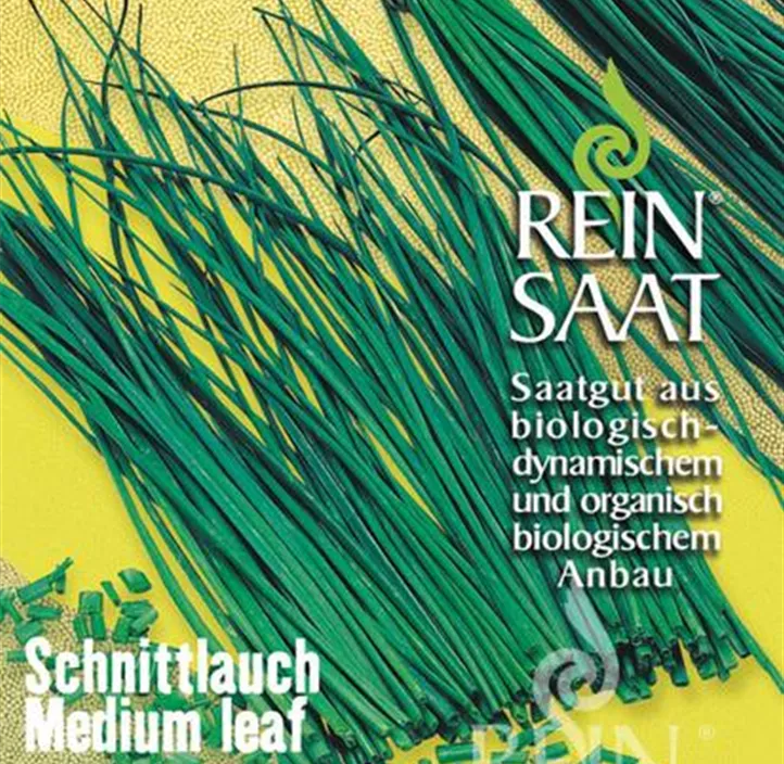 Schnittlauch Medium Leaf 
