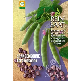Stangenbohne Forellenbohne