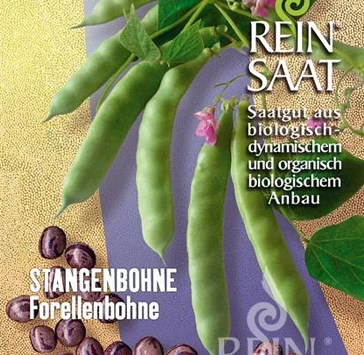 Stangenbohne Forellenbohne