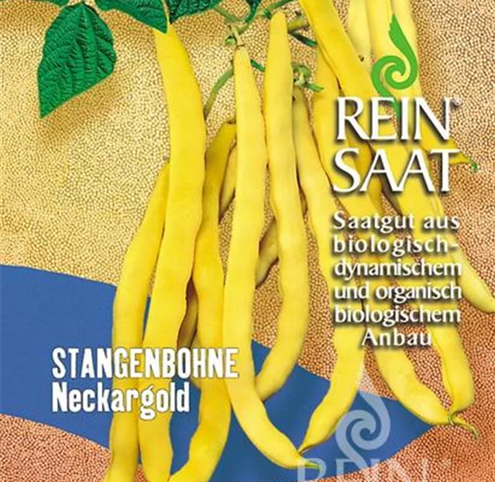 Stangenbohne Neckargold Stangenbohne Neckargold