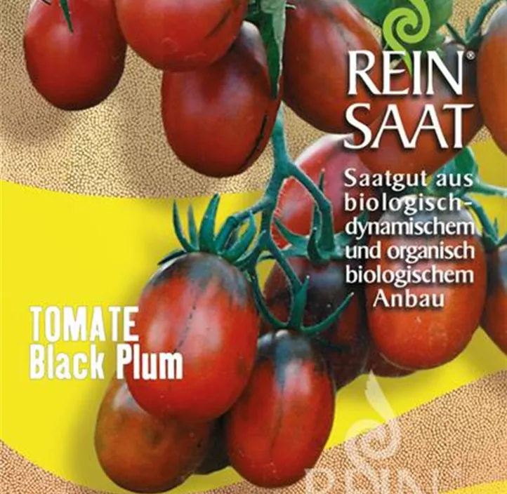 Tomate Black Plum