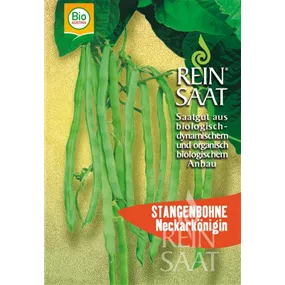 Stangenbohne Neckarkönigin