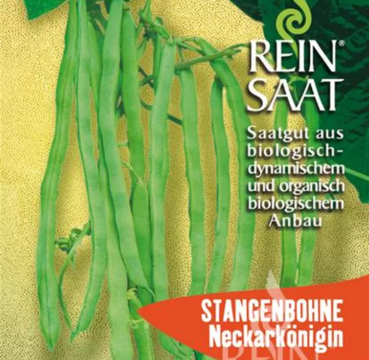 Stangenbohne Neckarkönigin