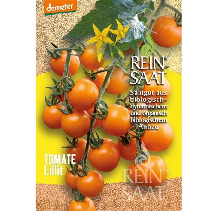 Tomate Lillit