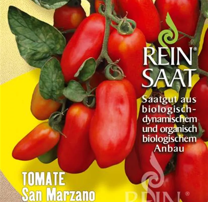 Tomate San Marzano Tomate San Marzano
