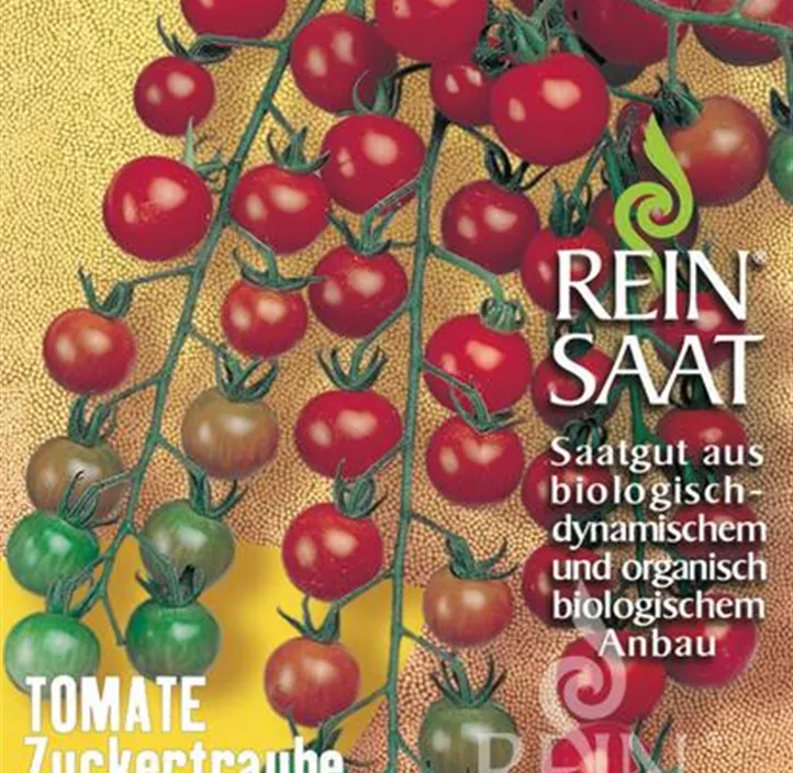 Tomate Zuckertraube