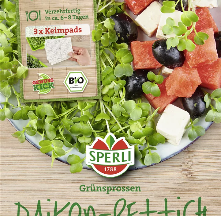 BIO Keimsprossen-Saat Daikon-Rettich BIO Keimsprossen-Saat Daikon-Rettich
