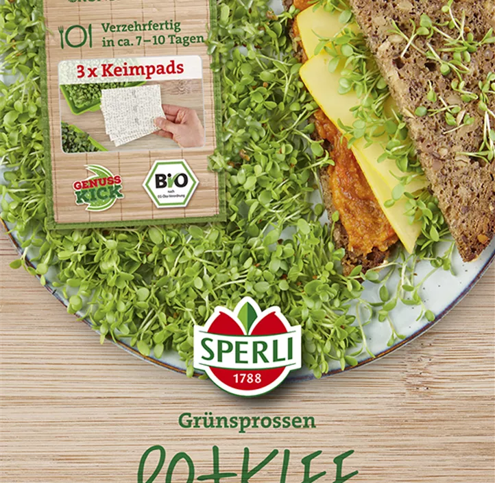 BIO-Keimsprossen Rotklee