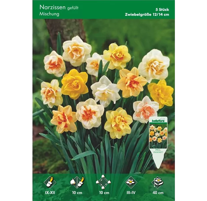 Narcissus Gefüllt, Mischung