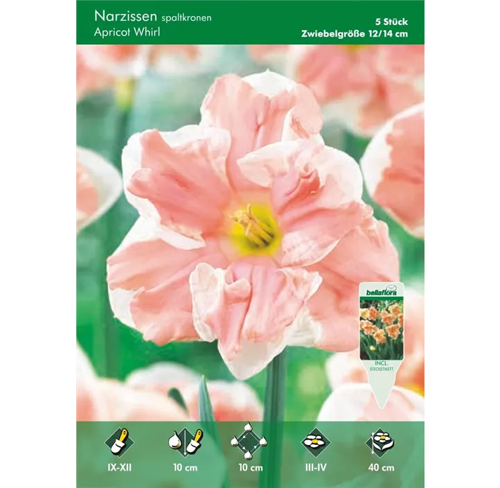 Narcissus Split Corona Apricot Whirl