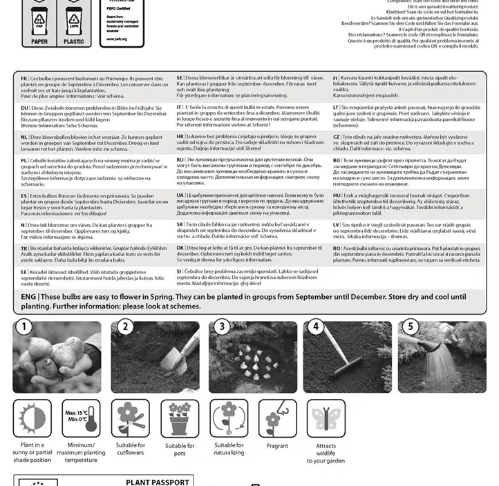 Allium Party Balloons Allium Party Balloons