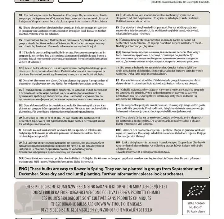 Botanische Tulpen Mischung BIO Botanische Tulpen Mischung BIO