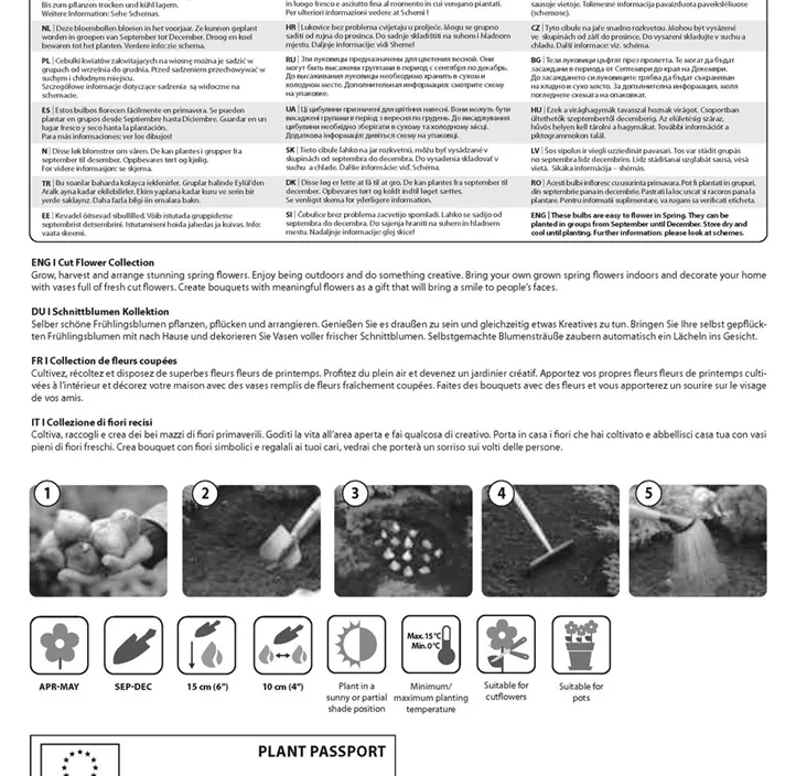 Bouquet Collection Tulipa Kupfer & Schwarz Bouquet Collection Tulipa Kupfer & Schwarz