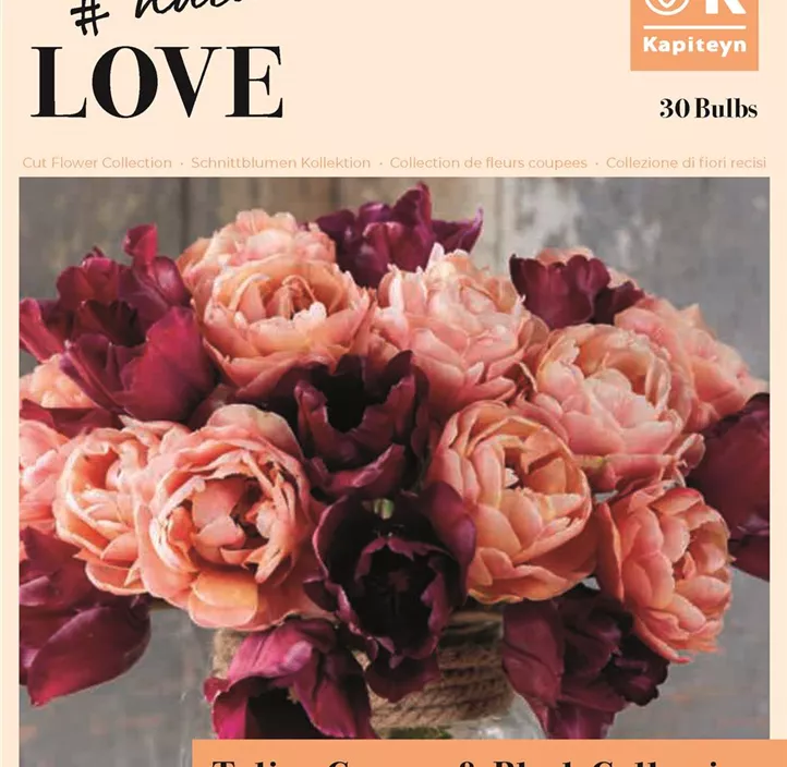 Bouquet Collection Tulipa Kupfer & Schwarz Bouquet Collection Tulipa Kupfer & Schwarz