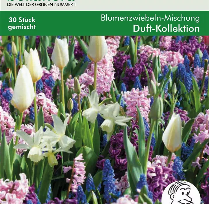 Blumenzwiebel Duft-Kollektion