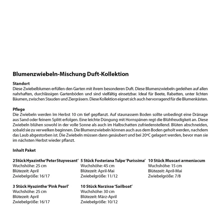 Blumenzwiebel Duft-Kollektion