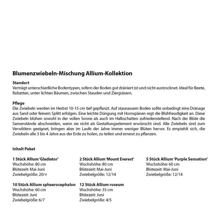 Blumenzwiebel Mischung Allium Kollektion Blumenzwiebel Mischung Allium Kollektion