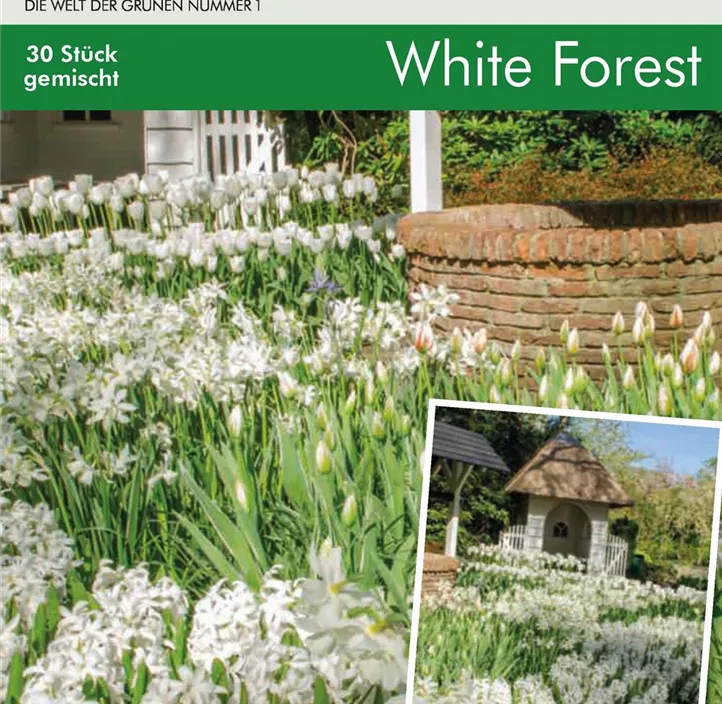 Blumenzwiebel Mischung Cottage Garden 'White Forest' Blumenzwiebel Mischung Cottage Garden 'White Forest'