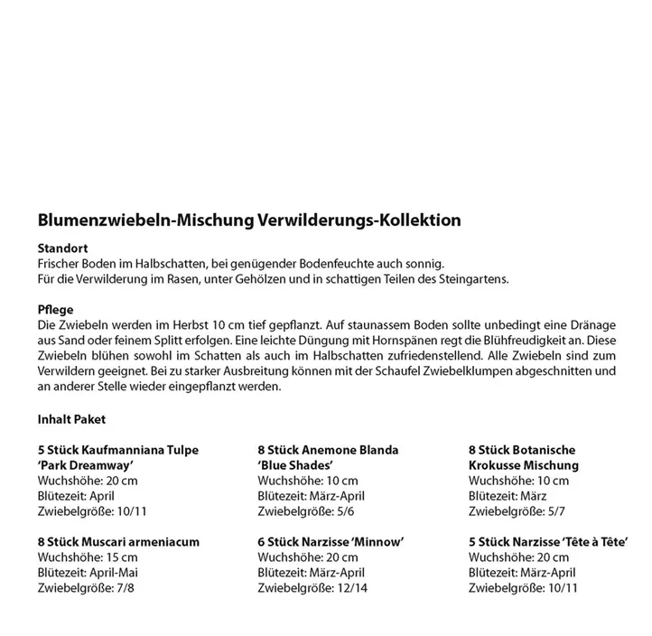 Blumenzwiebel Wildblumen-Kollektion Blumenzwiebel Wildblumen-Kollektion