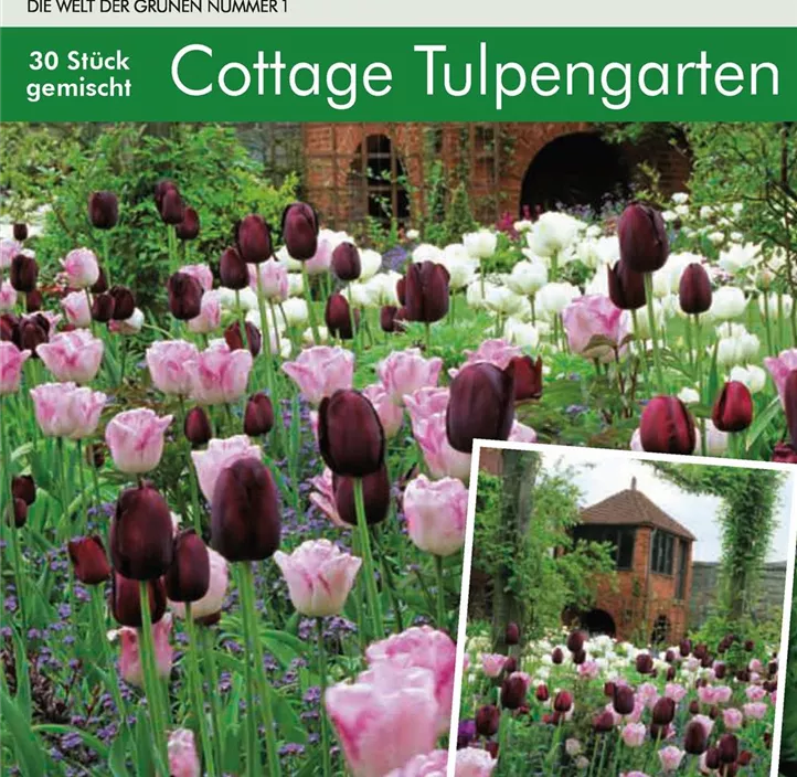 Cottage Garden Tulpen Collection