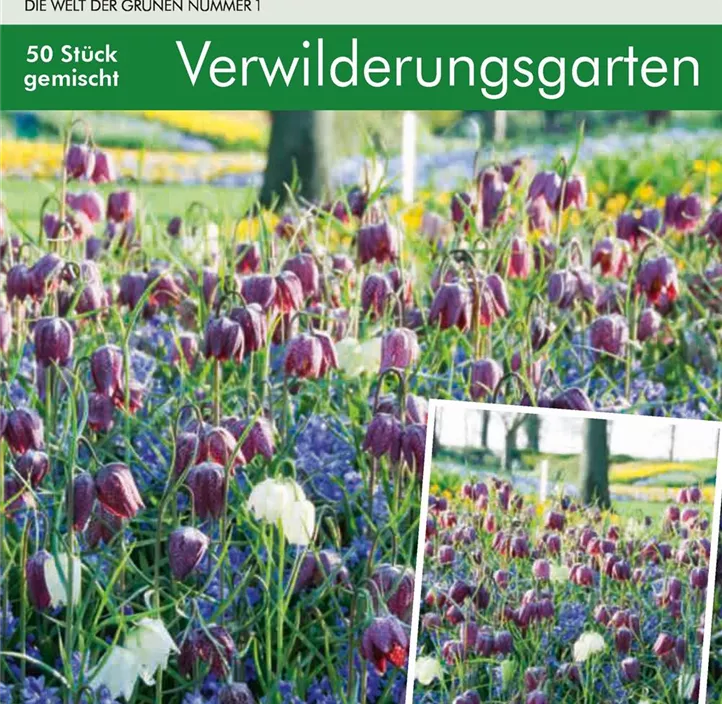 Cottage-Verwilderungsgarten Cottage-Verwilderungsgarten