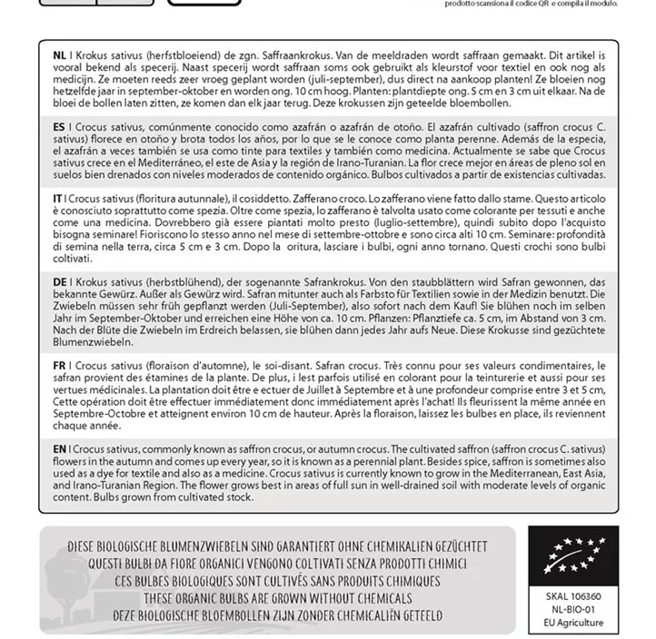 Safrankrokus Safrankrokus