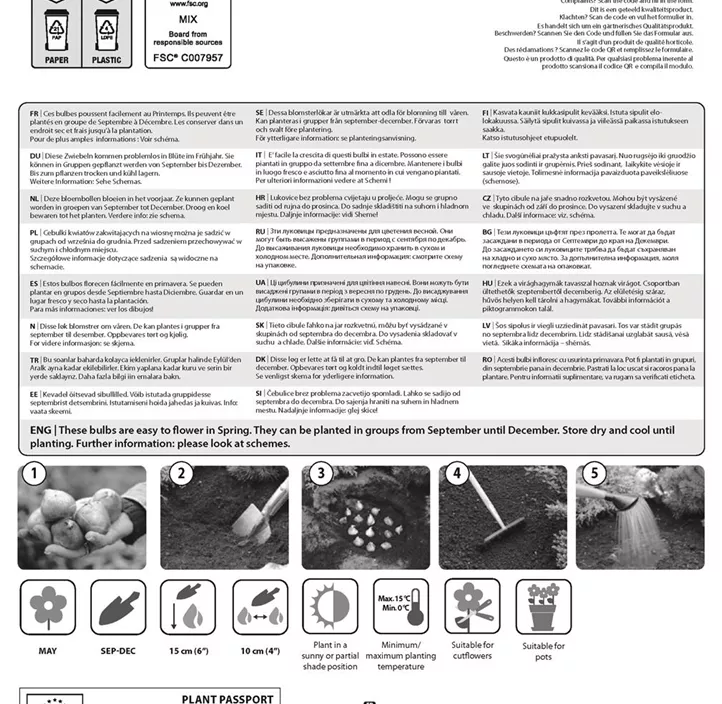 Farbcombi gefüllte gefranste Tulpe Mischung Farbcombi gefüllte gefranste Tulpe Mischung