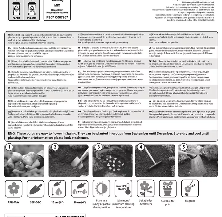 Farbkombi Hyazinthe blau und Tulpe apricot Farbkombi Hyazinthe blau und Tulpe apricot