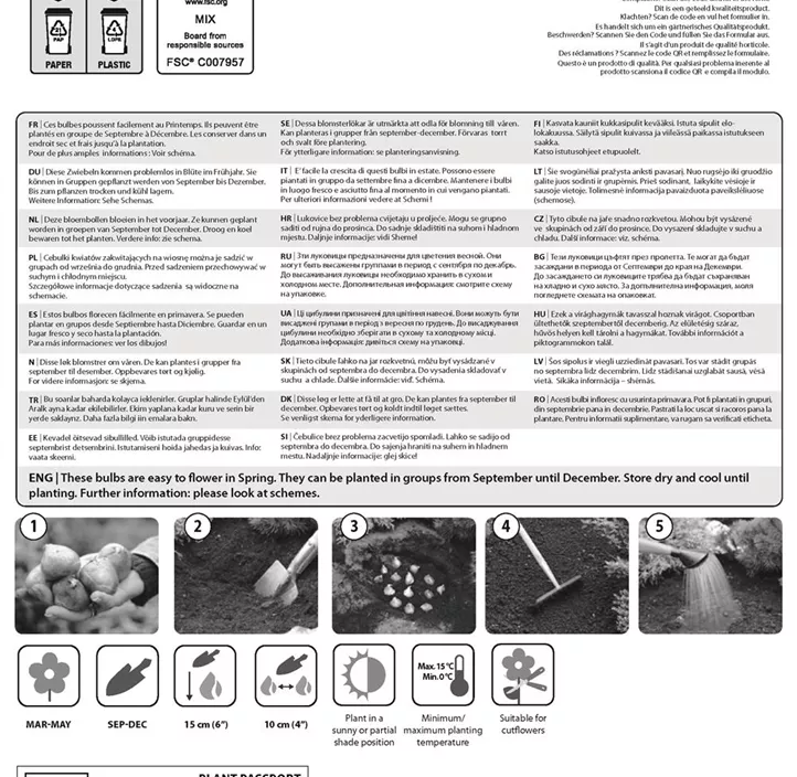 Farbkombi Tulpe orange/weiß und Narzisse gelb/orange Farbkombi Tulpe orange/weiß und Narzisse gelb/orange