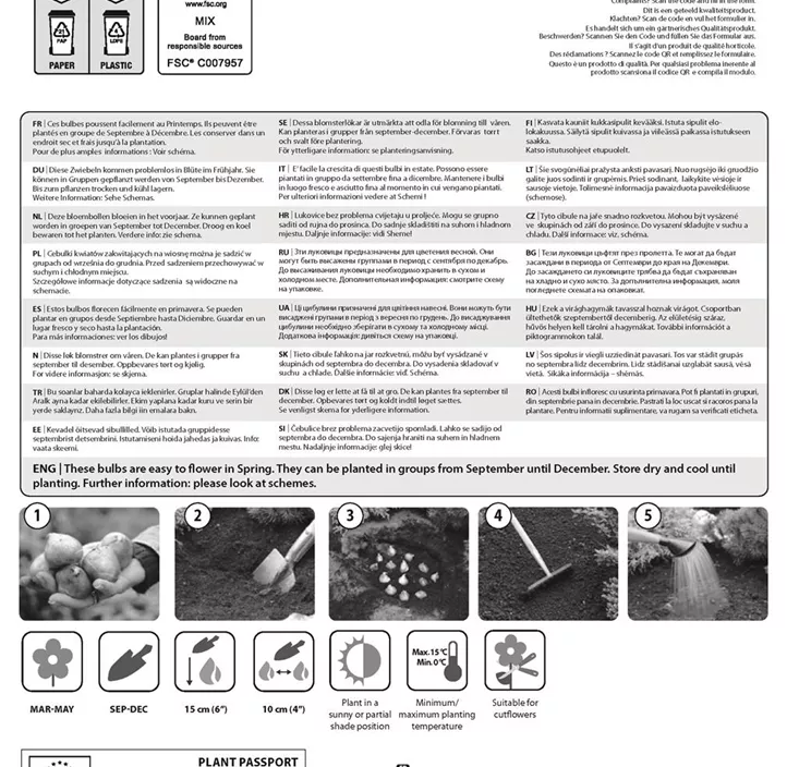 Farbkombi Tulpe rosa und Narzisse weiß Farbkombi Tulpe rosa und Narzisse weiß