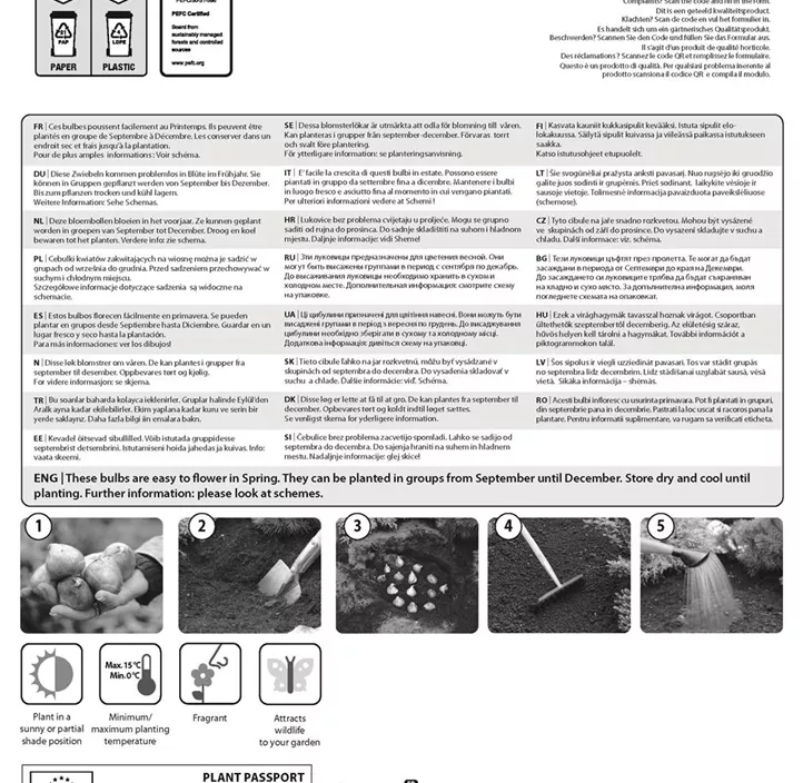 Fritillaria 'Orange Beauty' Fritillaria 'Orange Beauty'