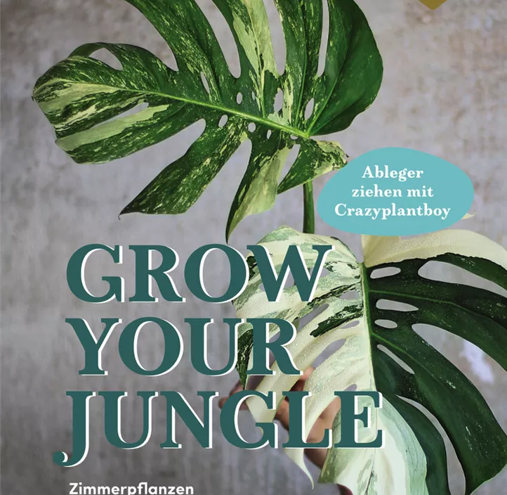 Grow your Jungle