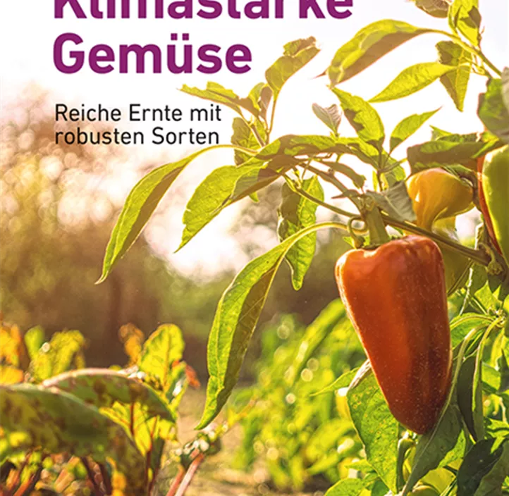 Klimastarke Gemüse