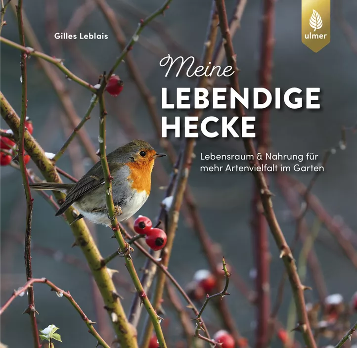 Meine lebendige Hecke