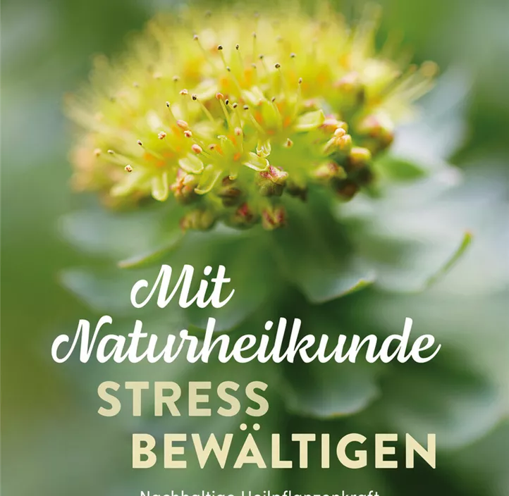 Mit Naturheilkunde Stress bewältigen