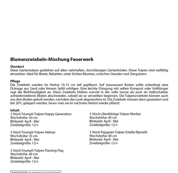 Tulipa Fireworks Kombi