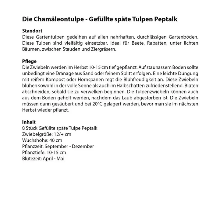Tulipa hybride gefüllt Peptalk