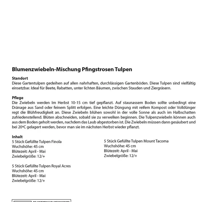 Tulipa hybride Kombi rosa,violett,weiß