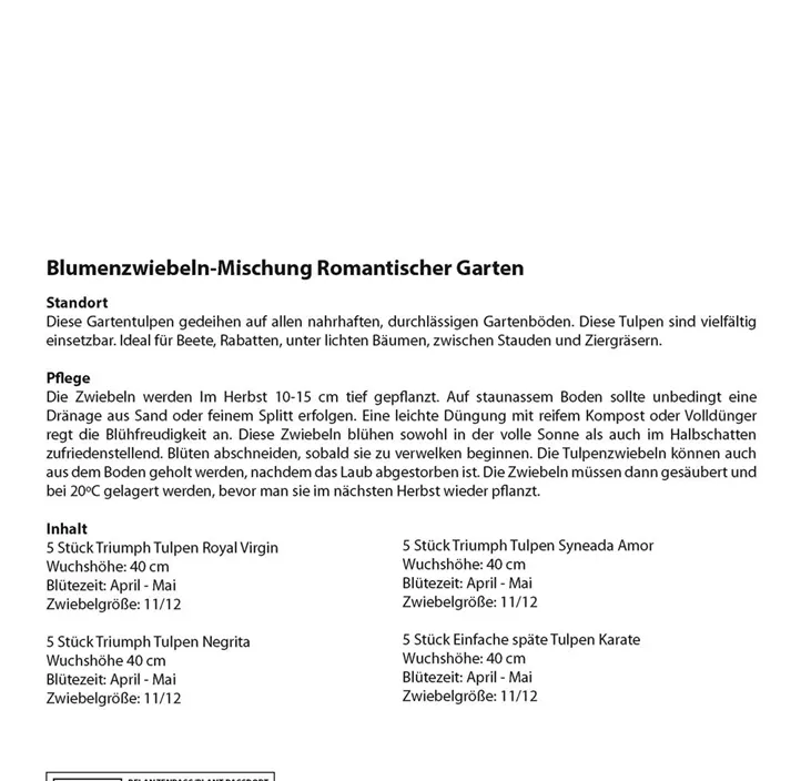 Tulipa Pink white and purple blend Kombi