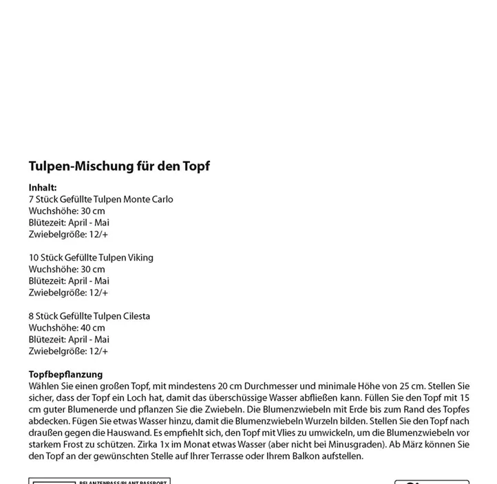 Tulpen Mischung Patio