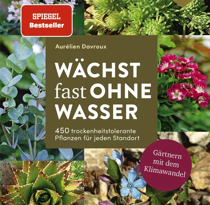 Wächst fast ohne Wasser
