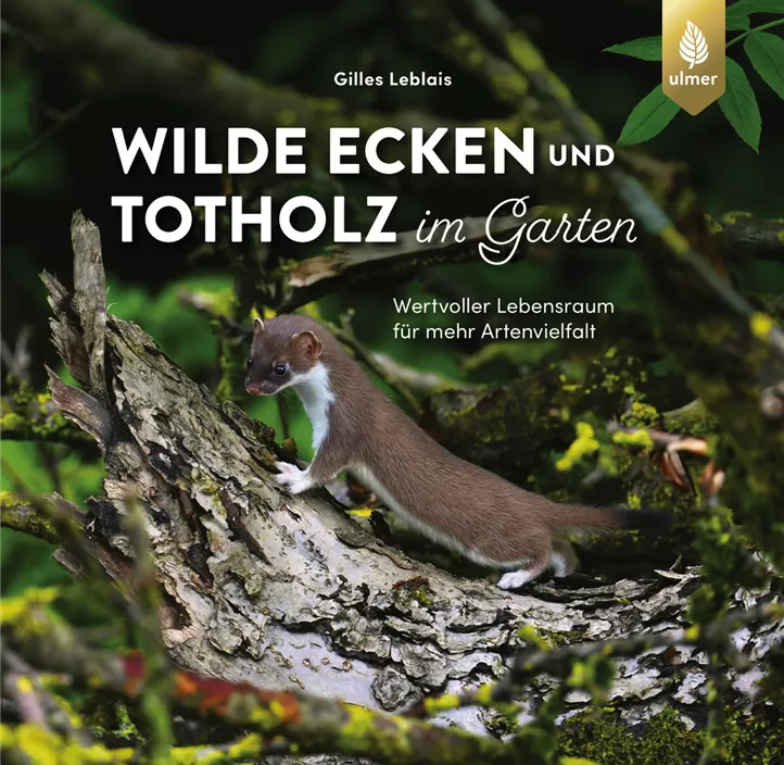 Wilde Ecken und Totholz im Garten