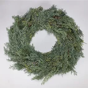 Kranz Ariconica Kranz Ariconica