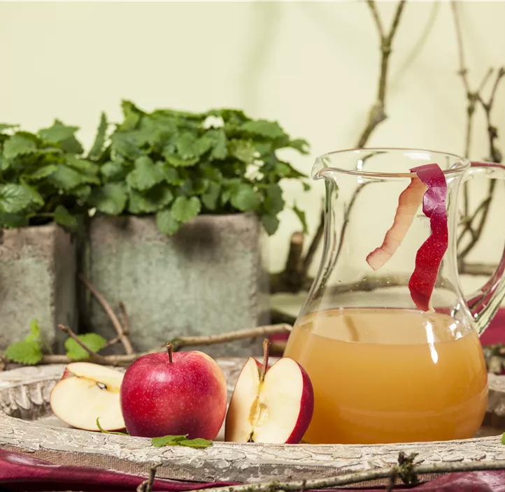 Apfel 'Gala' Apfel 'Gala'