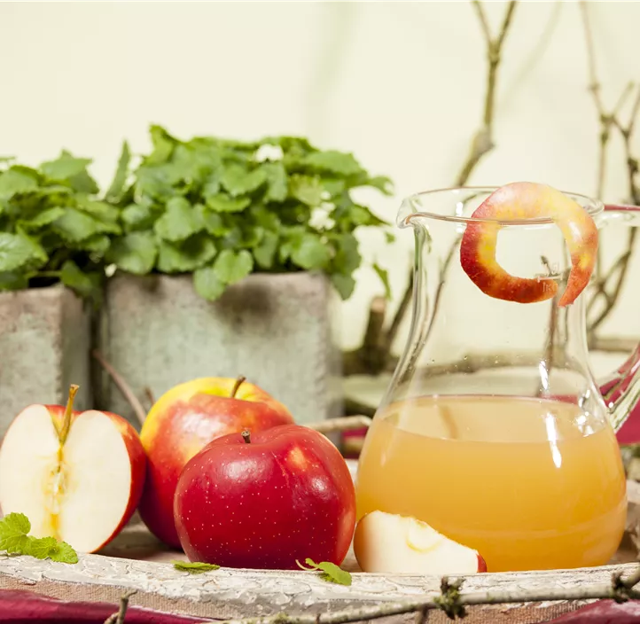 Apfel 'Jonagold' Apfel 'Jonagold'