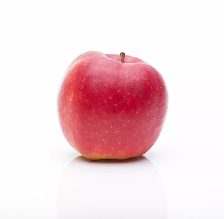 Apfel 'Jonagold' Apfel 'Jonagold'